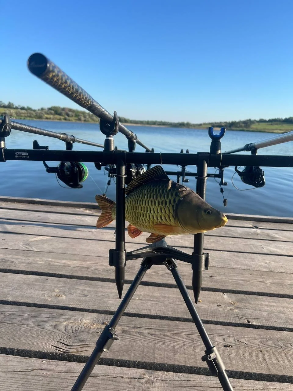 Род-под Carp Pro Tork (на 4 вудилища, б/в)