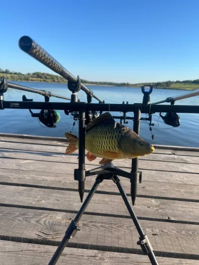 Род-под Carp Pro Tork (на 4 вудилища, б/в)