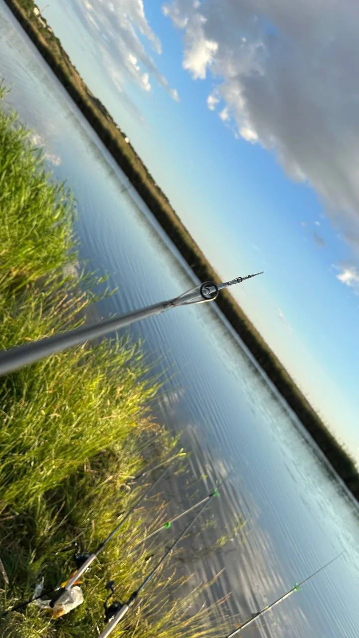 Вудилище Favourite Blue Bird Sharp Jig 862 M-T 2.58м 4-20г