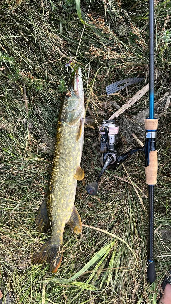Вудилище Favourite Blue Bird Sharp Jig 862 M-T 2.58м 4-20г