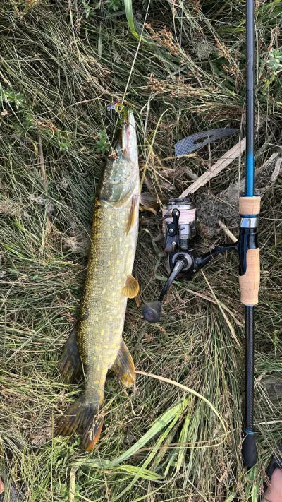 Вудилище Favourite Blue Bird Sharp Jig 862 M-T 2.58м 4-20г