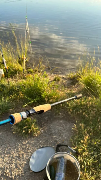 Вудилище Favourite Blue Bird Sharp Jig 862 M-T 2.58м 4-20г