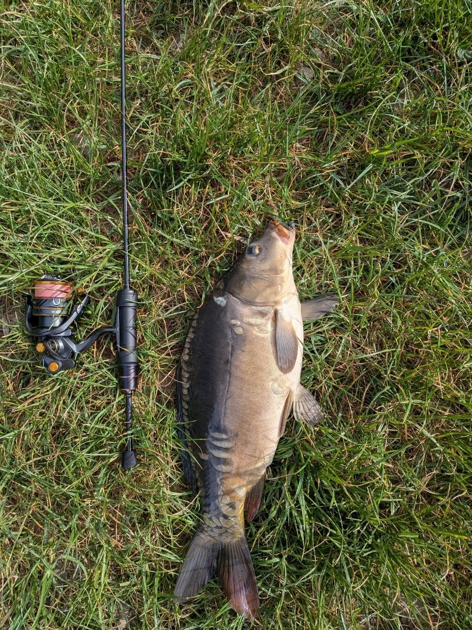 Спінінг Gamakatsu Hana II S54FL-solid 1.63м 0.1-2г