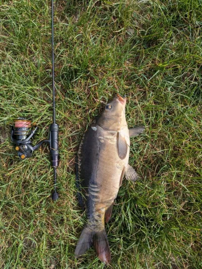 Спінінг Gamakatsu Hana II S54FL-solid 1.63м 0.1-2г