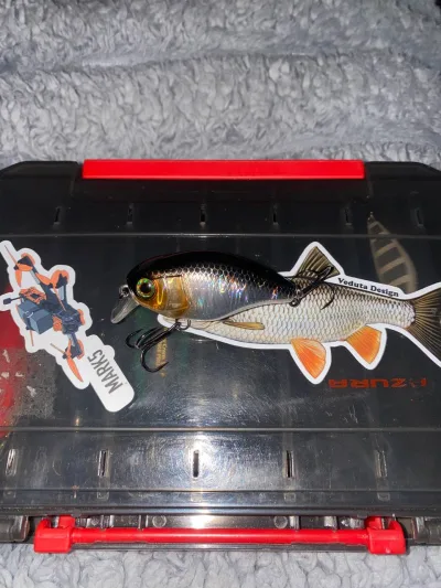 Воблер Jackall Chubby 50