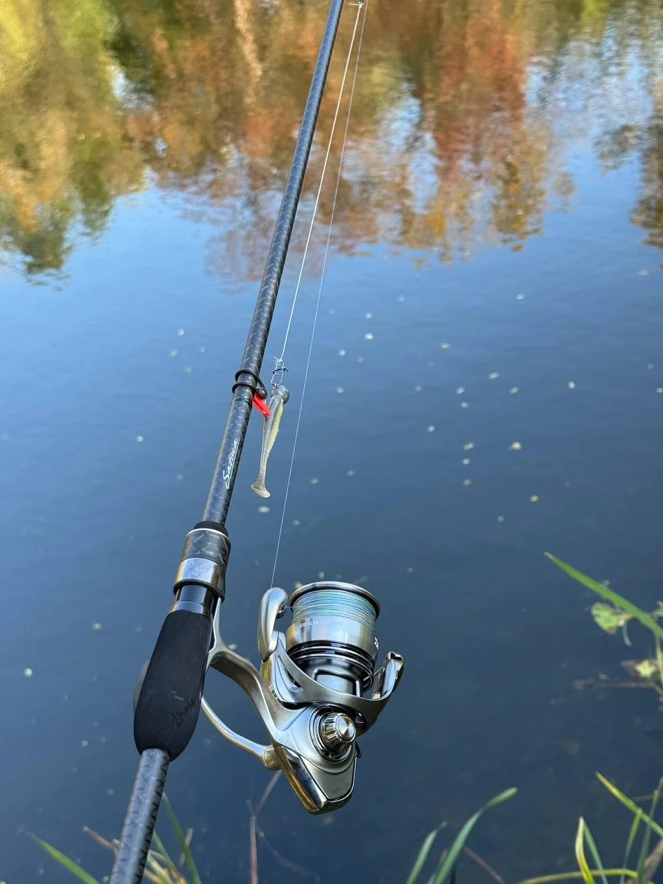 Комплект Спінінг Azura Safina S86ML 2.59м 5-22г + Котушка Daiwa 3000