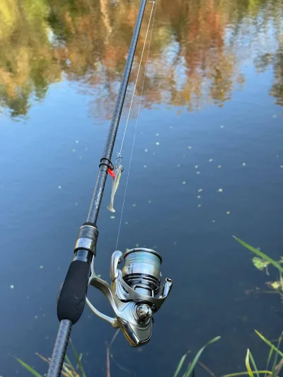 Комплект Спінінг Azura Safina S86ML 2.59м 5-22г + Котушка Daiwa 3000