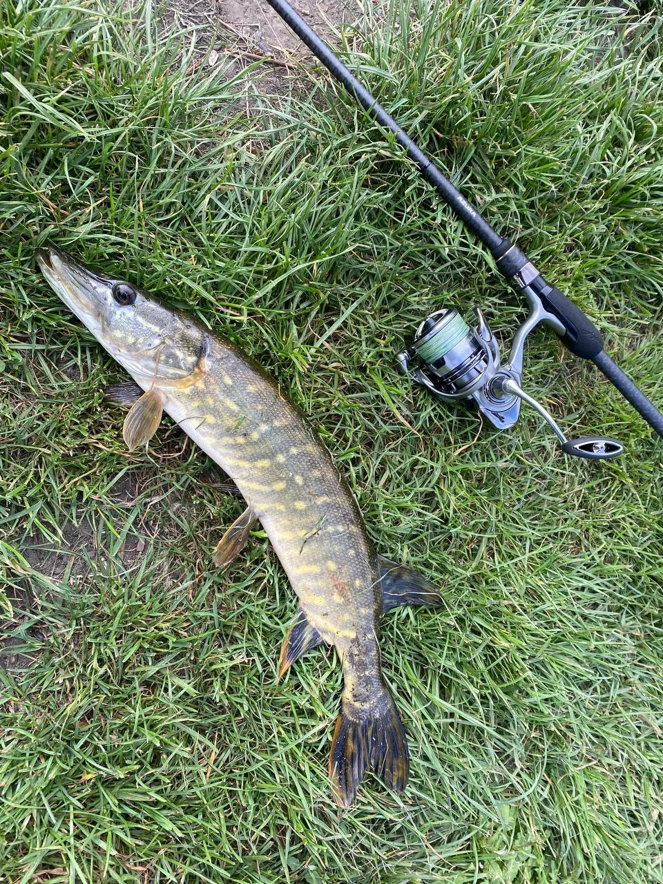 Котушка Daiwa ’23 Exceler LT 2500