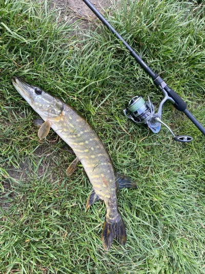 Котушка Daiwa ’23 Exceler LT 2500