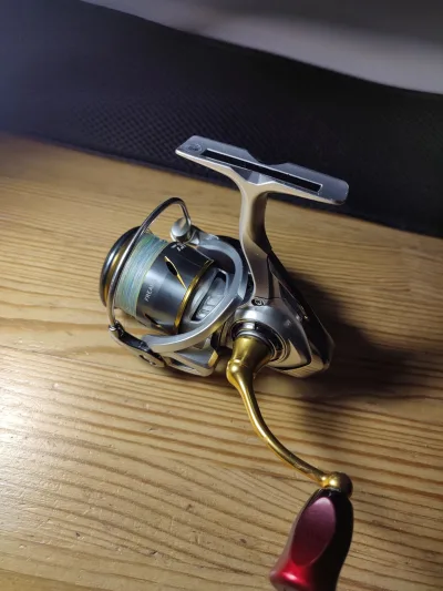 Комплект Golden Catch Flick 24 702 Daiwa Freams LT 2500