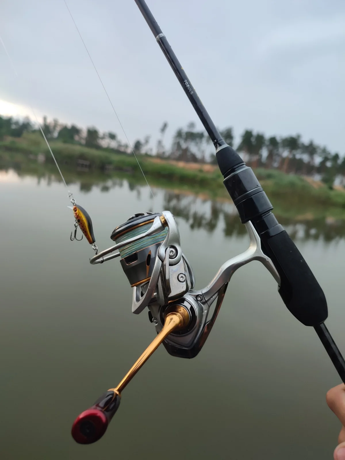 Комплект Golden Catch Flick 24 702 Daiwa Freams LT 2500
