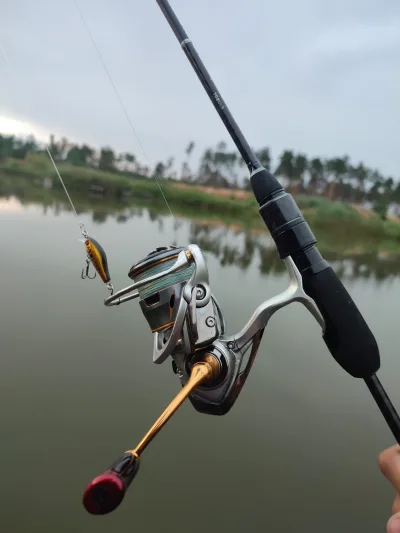 Комплект Golden Catch Flick 24 702 Daiwa Freams LT 2500