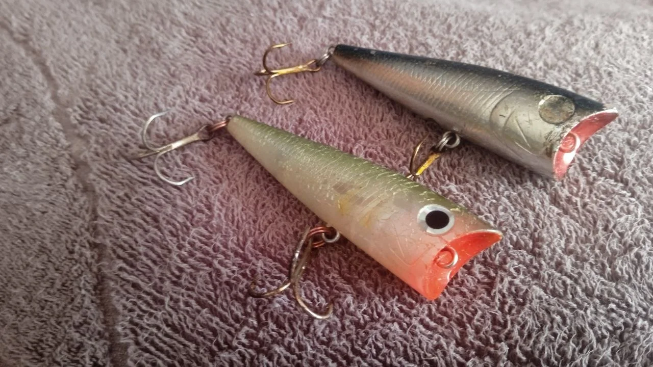 Попери Daiwa T.D. Popper 2шт