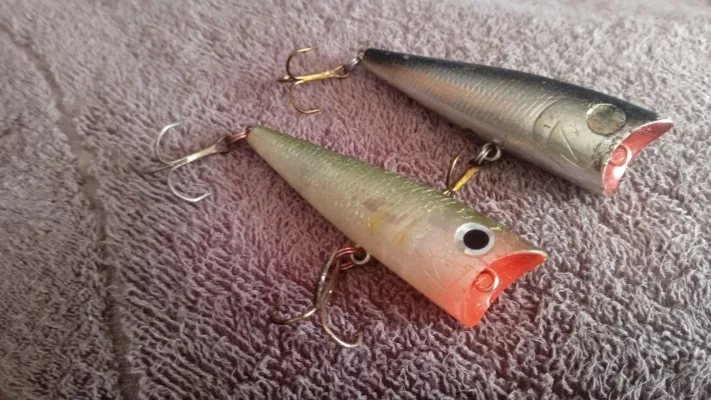 Попери Daiwa T.D. Popper 2шт