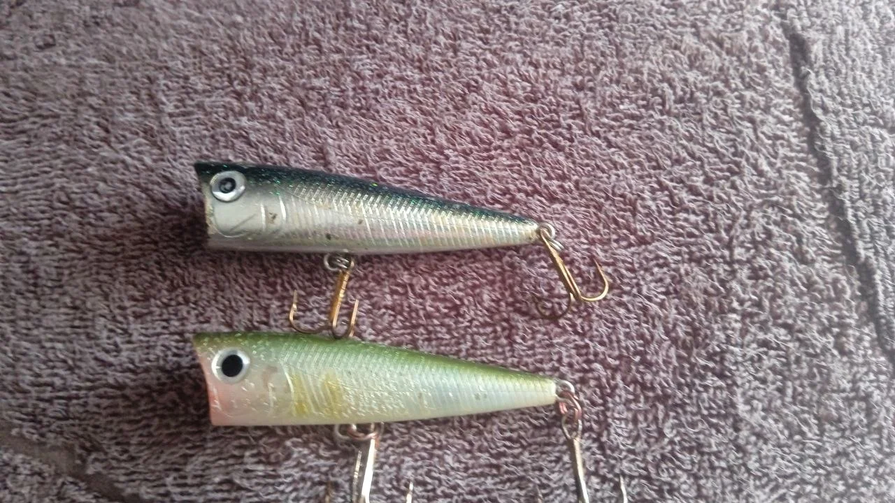 Попери Daiwa T.D. Popper 2шт