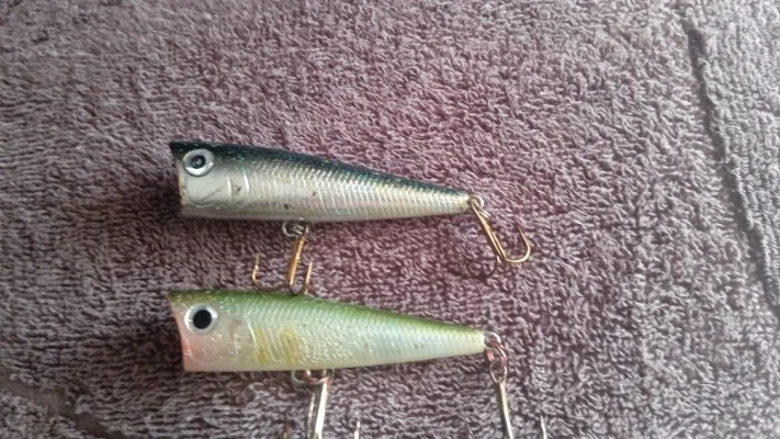 Попери Daiwa T.D. Popper 2шт
