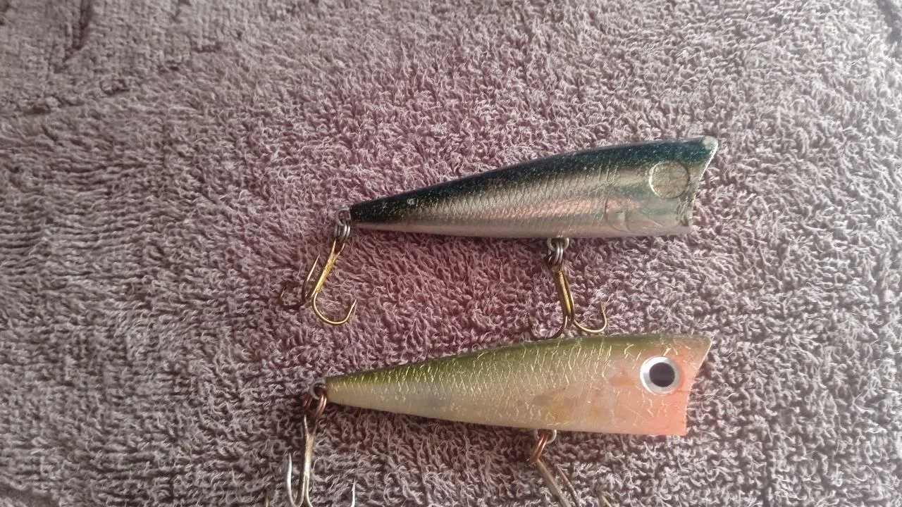 Попери Daiwa T.D. Popper 2шт