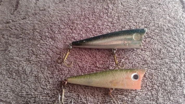 Попери Daiwa T.D. Popper 2шт