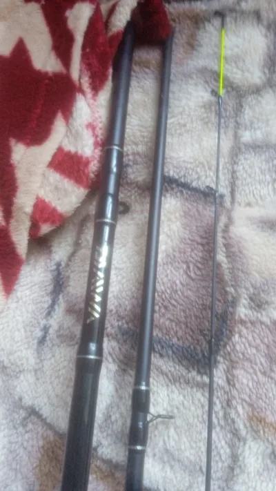 Фідер Daiwa Black Widow 3.3м 100г
