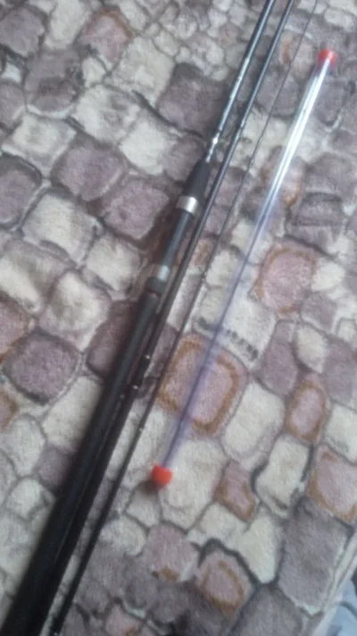 Фідер Daiwa Black Widow 3.3м 100г