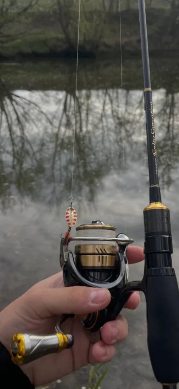 Катушка Daiwa Caldia 2000s