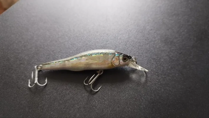 Воблер Megabass X-80 SW