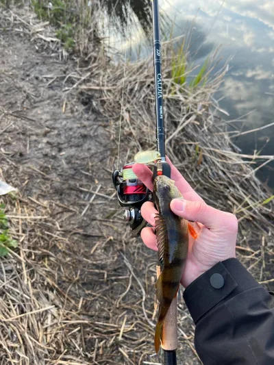 Спінінг Daiwa пошкоджена вершинка