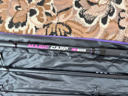 Комплект Flagman Endura Carp 7000FS та Megic Carp 3,25lb