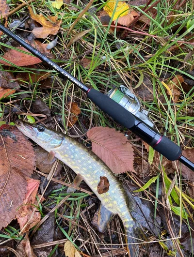Комплект Crazy Fish Contact CSR732LT 2.20м 3-14г + Котушка Shimano Sedona FJ 2500 + Шнур YGK X-Braid Upgrade X4