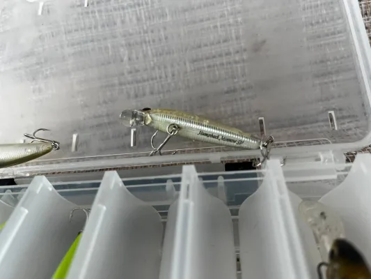 Набір воблерів Daiwa ZipBaits 50SP 5шт