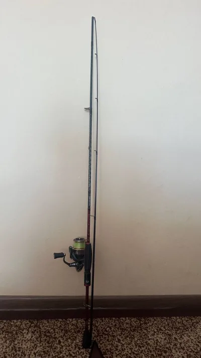 Комплект Daiwa Ninja Z TS 702MFS 2.13м 10-30г