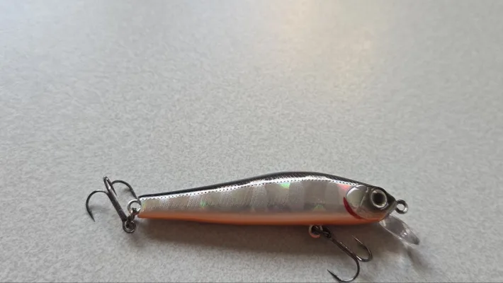 Воблер ZipBaits Rigge 56S