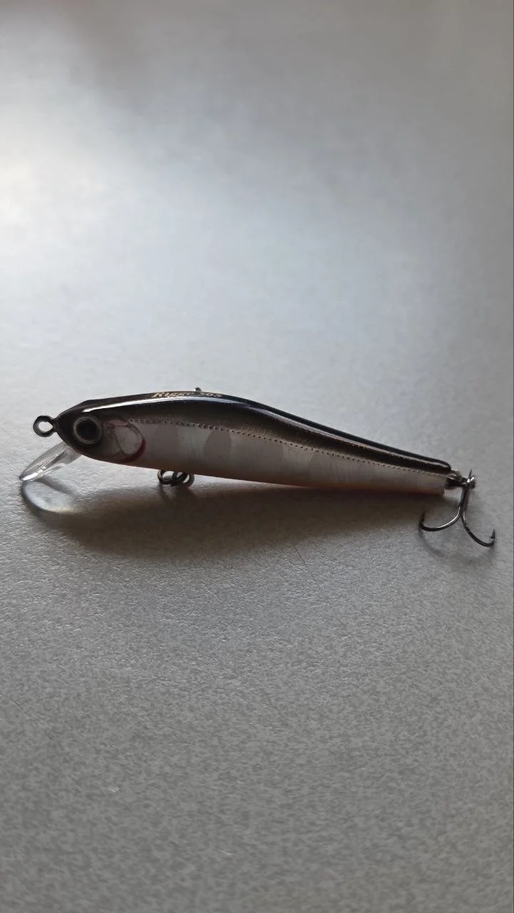 Воблер ZipBaits Rigge 56S