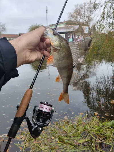 Вудилище Crazy Fish Arion 742SULS 2-12g