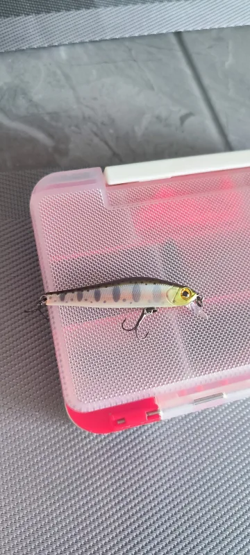 Воблер ZipBaits Rigge 56SP