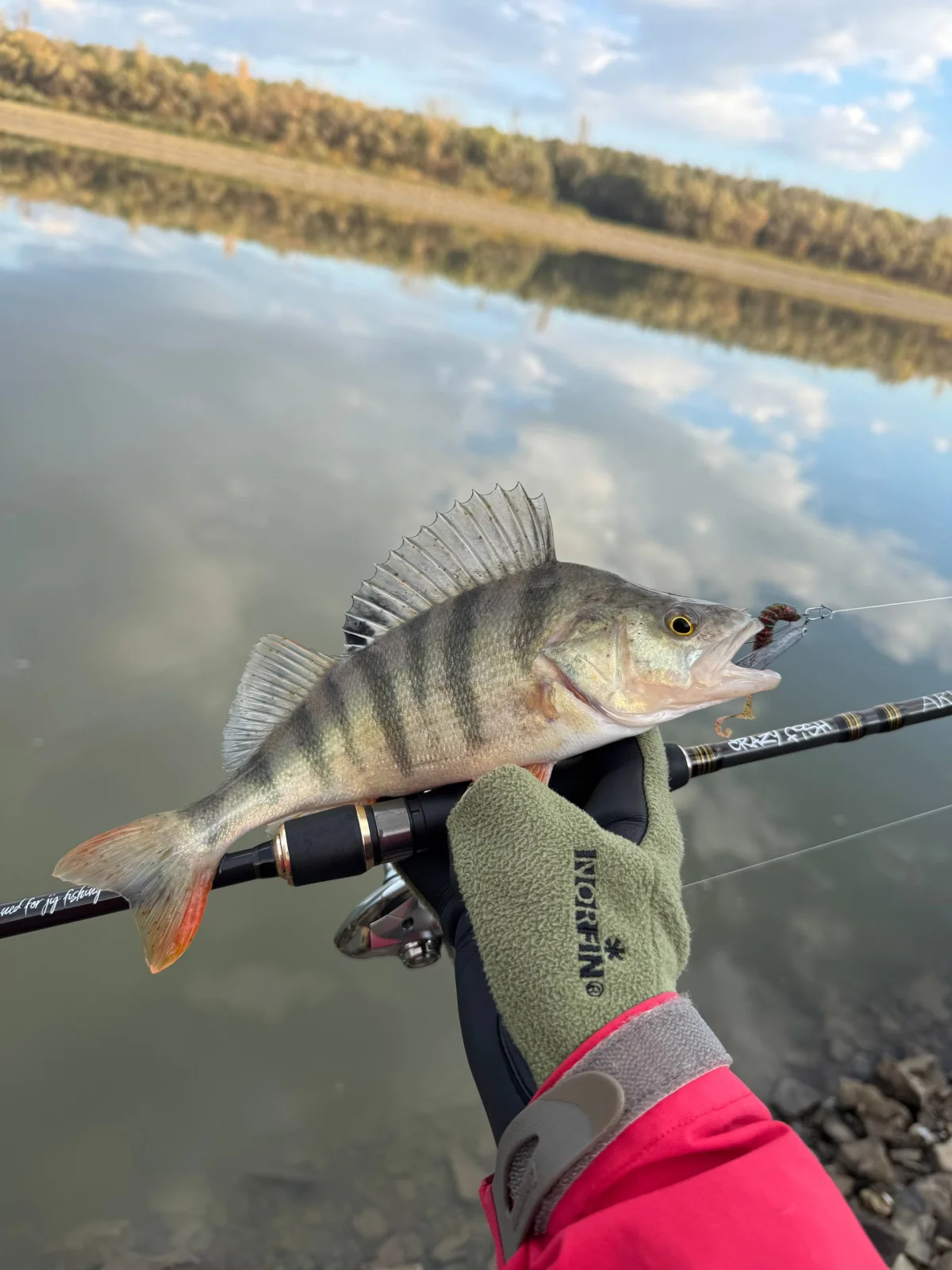 Спінінг Crazy Fish Arion ASRE862MLS до 18г