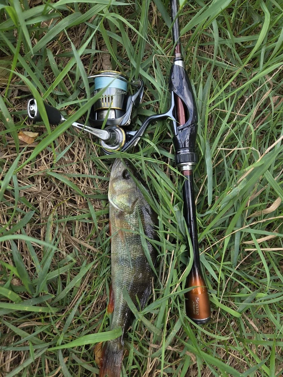 Спінінг Shimano 16 Soare X-Tune S706UL-S