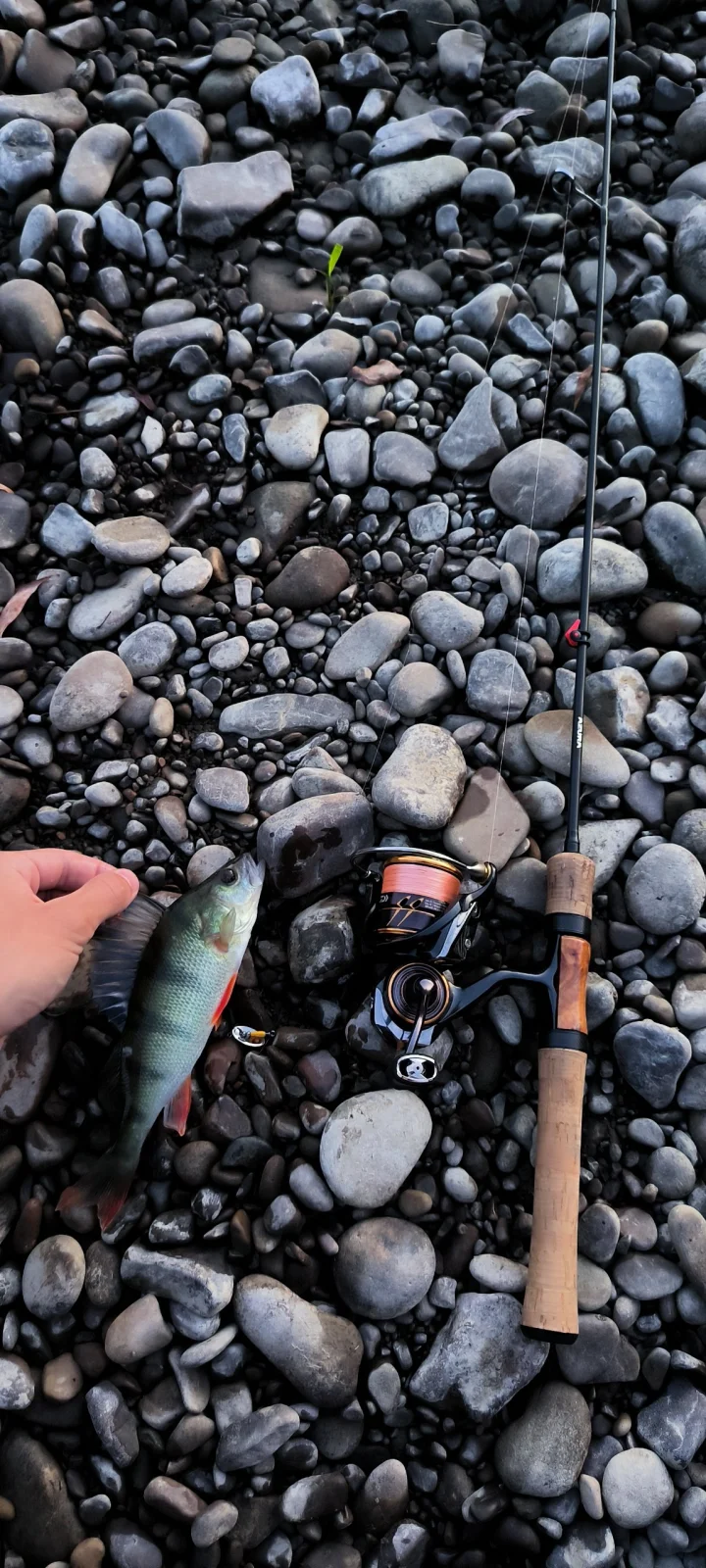 Комплект: спінінг Azura Diablo Neo + котушка Daiwa Caldia 2500S
