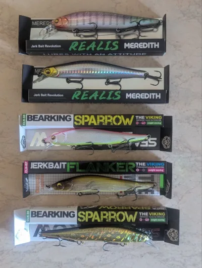 Набір воблерів Bearking та Meredith Megabass Vision 110