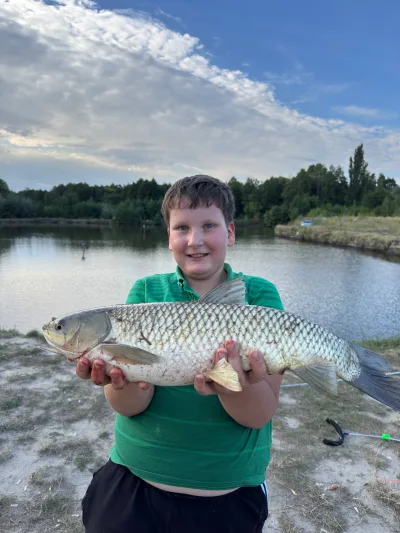 Спінінг Favorite White Bird 762UL-T 2.29 м 1.5-7 г