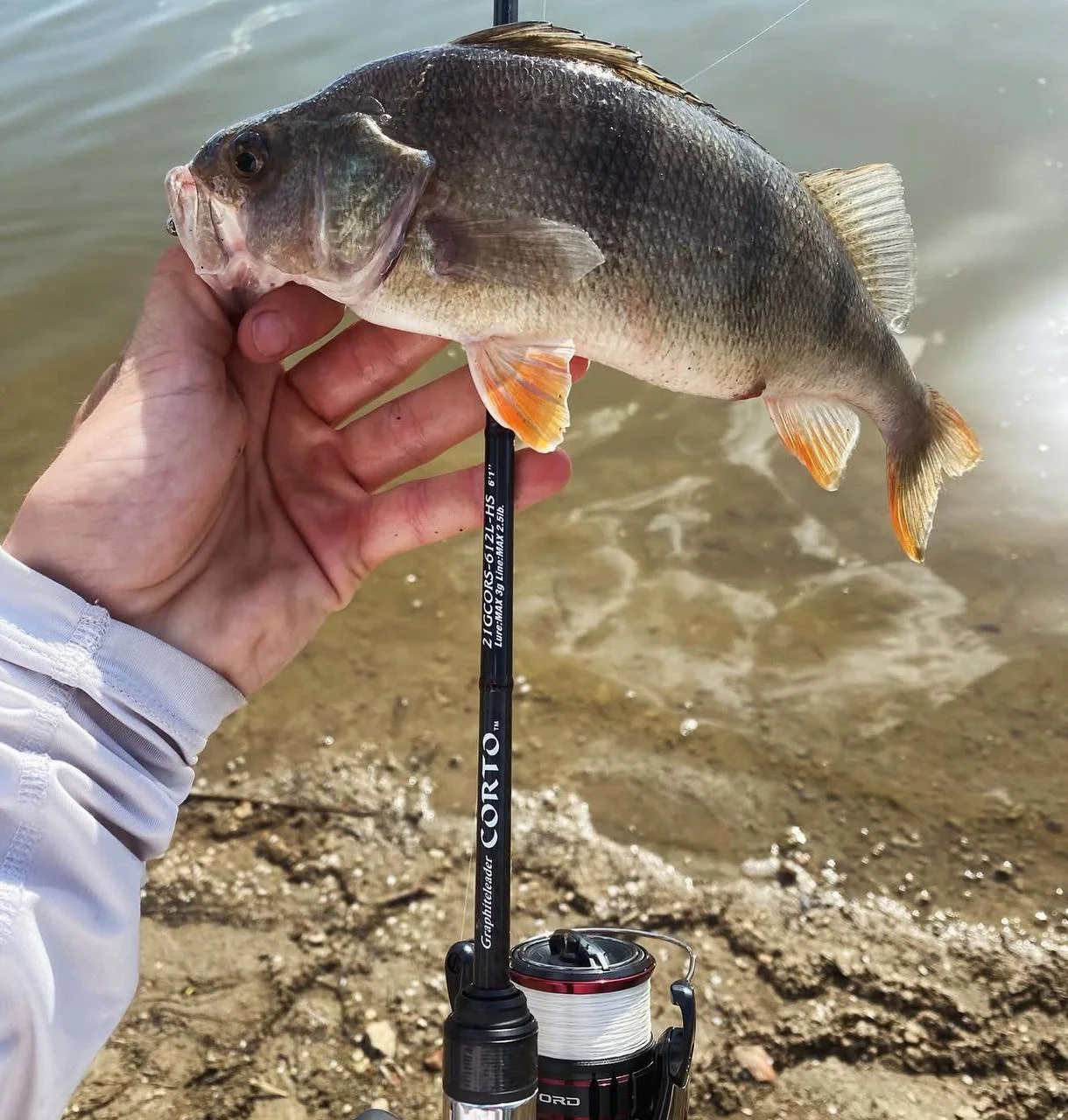 Котушка Shimano Vanford 20 2500S