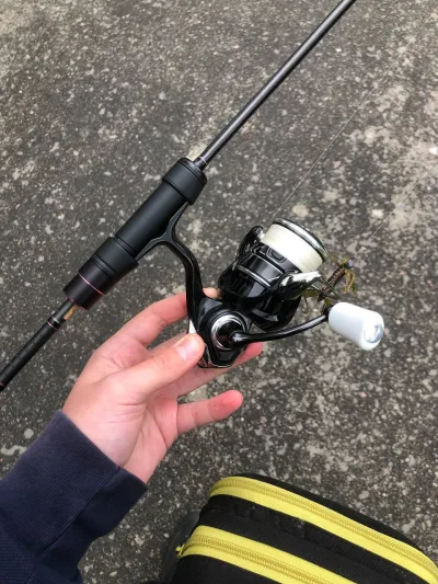 Котушка Daiwa Tatula FC LT 2500SS QD