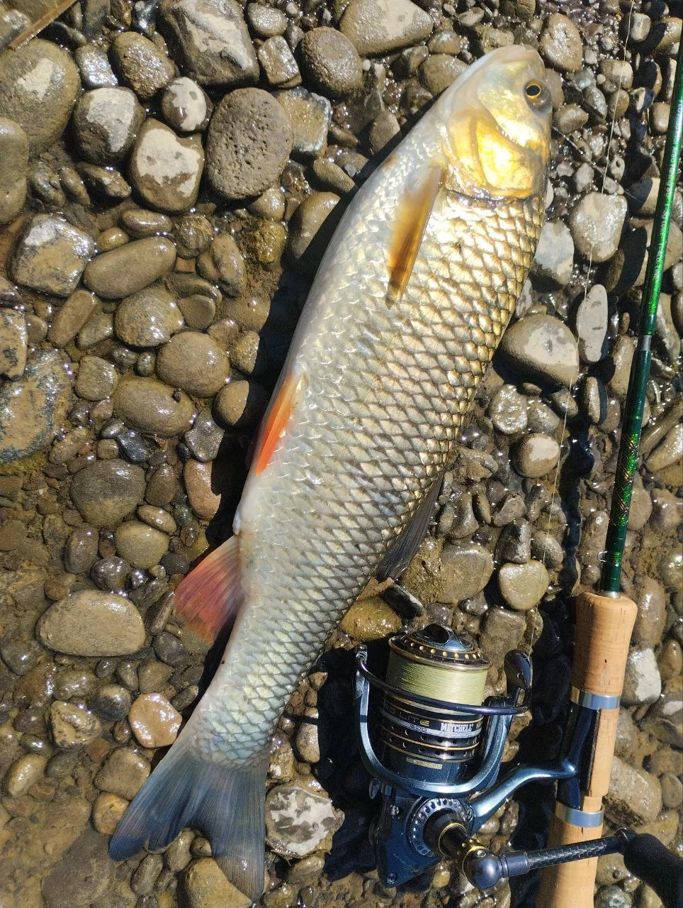 Спінінг Smith Fieldream FLDP-60 After 5 1.83м 1-3г