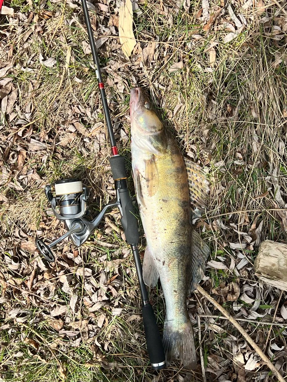 Комплект: спінінг Tict Inbite 710cs + котушка Shimano 16 Vanquish 3000