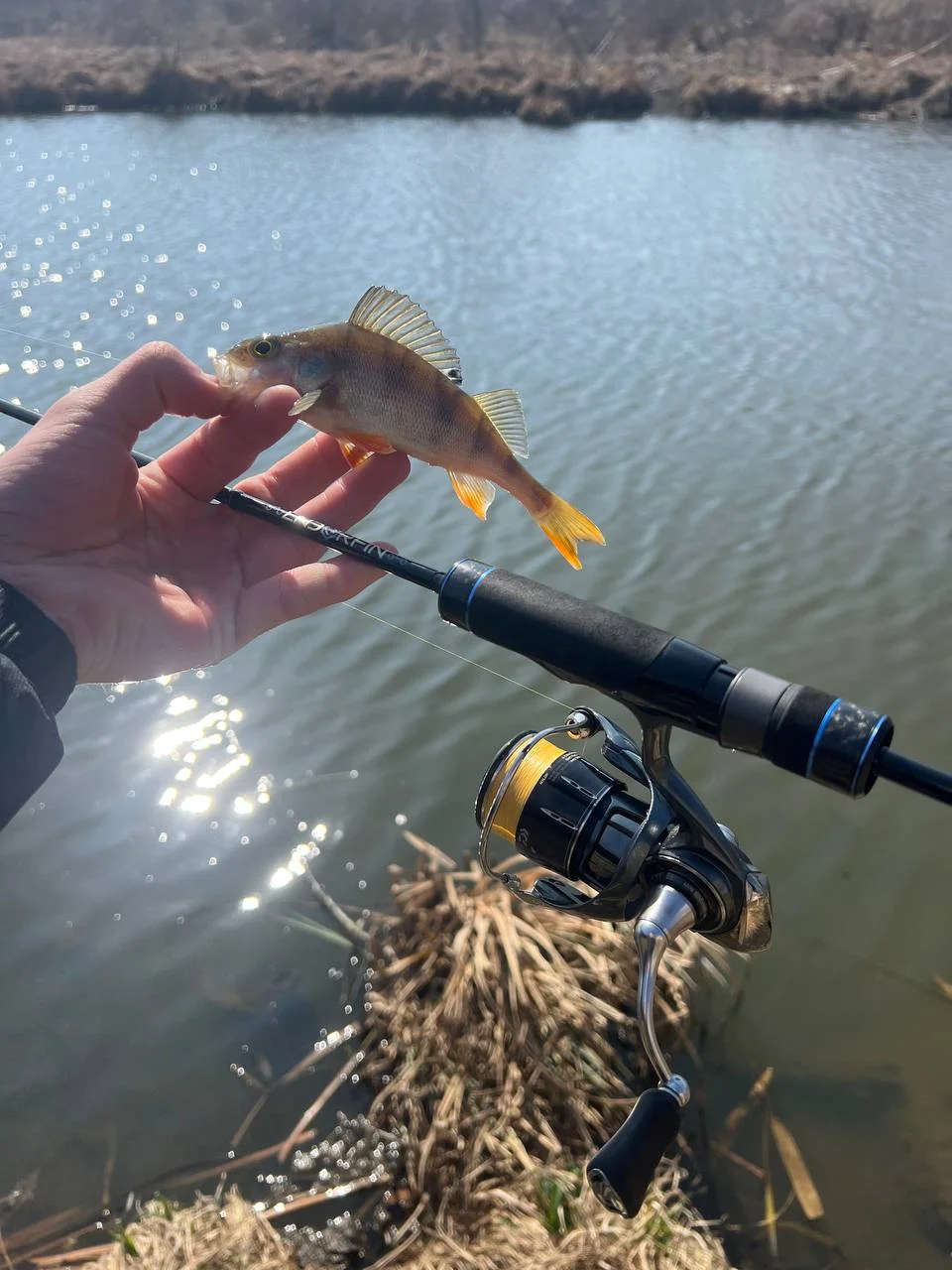 Спінінг Golden Catch Endorfin '21 EDS-610UL-S 2.08м 0.2-4г