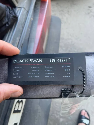 Спінінг Favorite Black Swan BSW1-842L-T 2.54м 4-16г