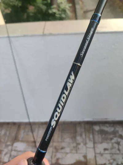 Спінінг Ever Green Poseidon Squidlaw Second Stage SSSS-86M 2.59м 8-30г