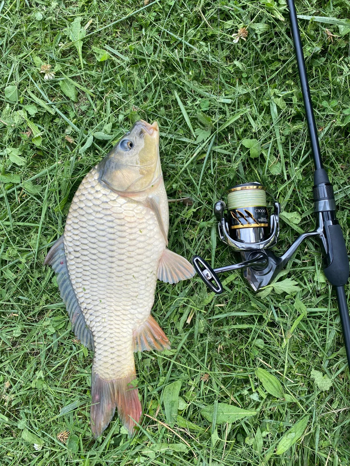 Котушка Shimano 20 Twin Power C3000