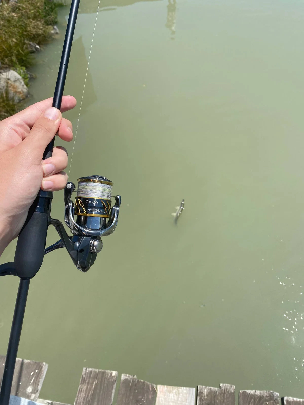 Котушка Shimano 20 Twin Power C3000
