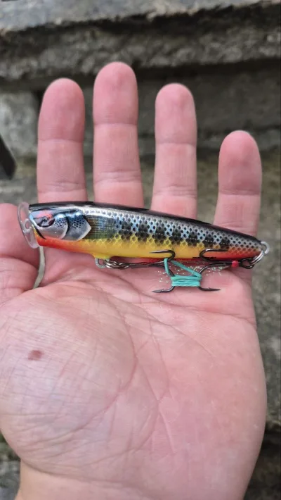 Поппер Rapala Skitter Pop Elite 95 (9.5см, 17г)